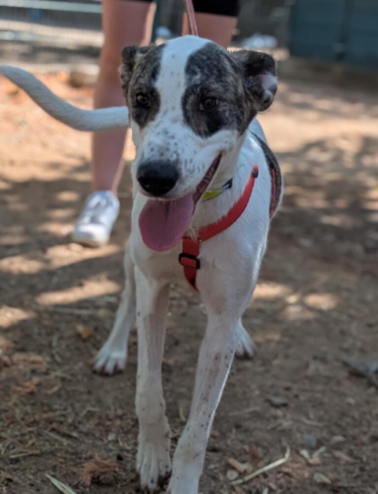 multimedia-foto94684-896-1