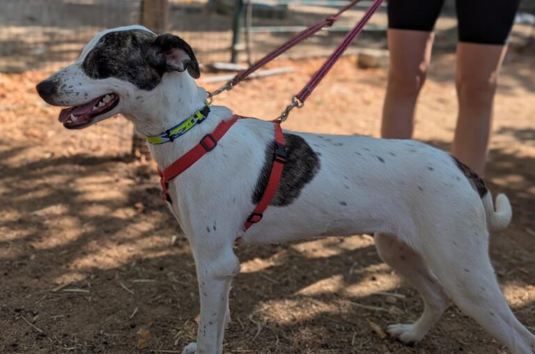 multimedia-foto94685-896-1