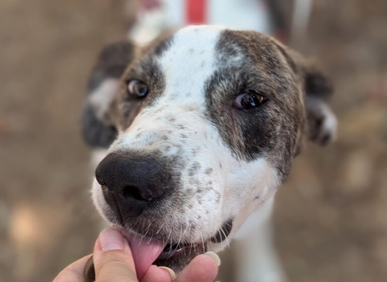 multimedia-foto94686-896-1