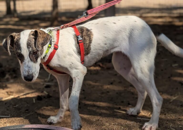 multimedia-foto94688-897-1