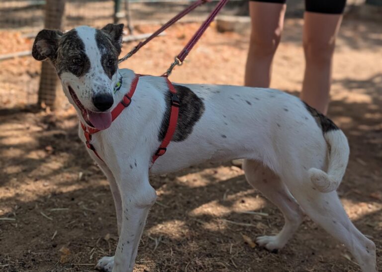 multimedia-foto94689-897-1