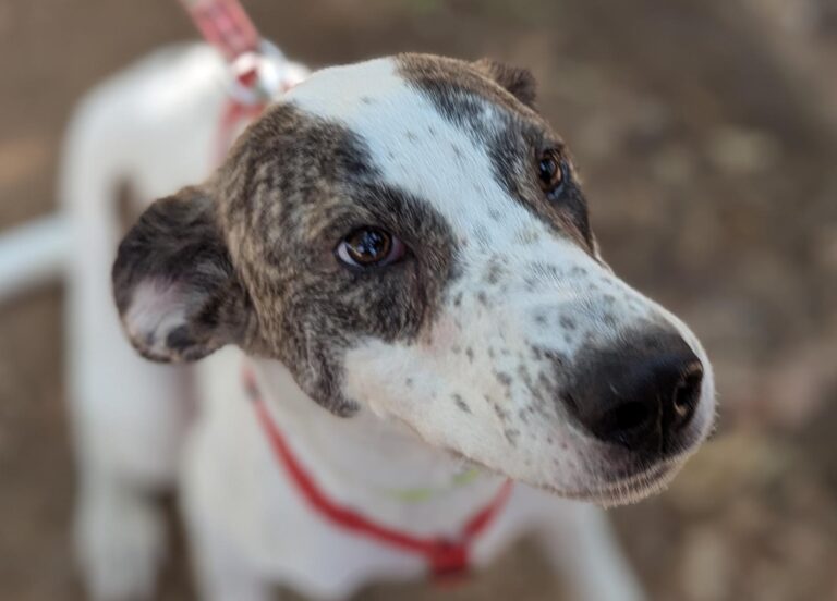 multimedia-foto94690-898-1