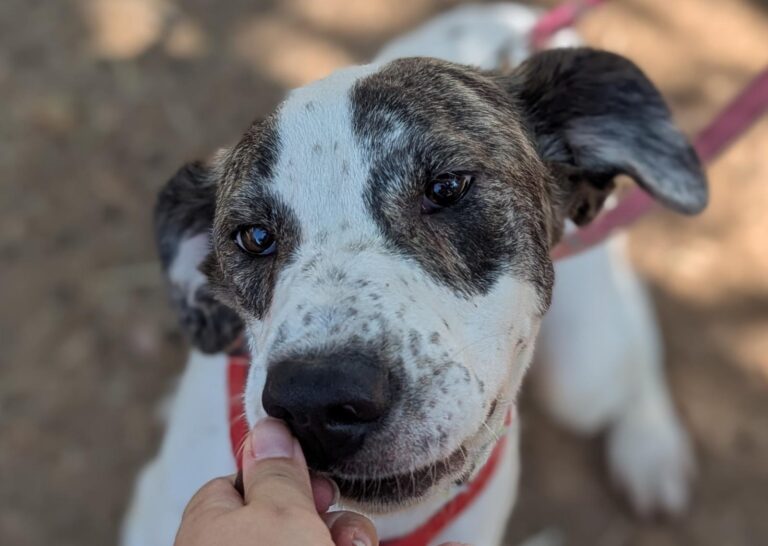 multimedia-foto94691-898-1