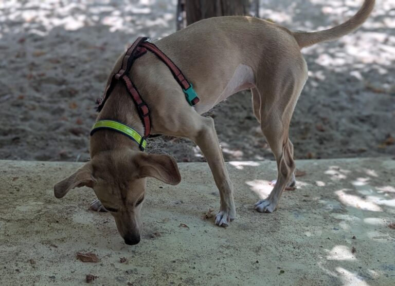 multimedia-foto94696-91-1