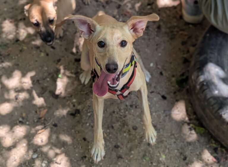 multimedia-foto94697-91-1