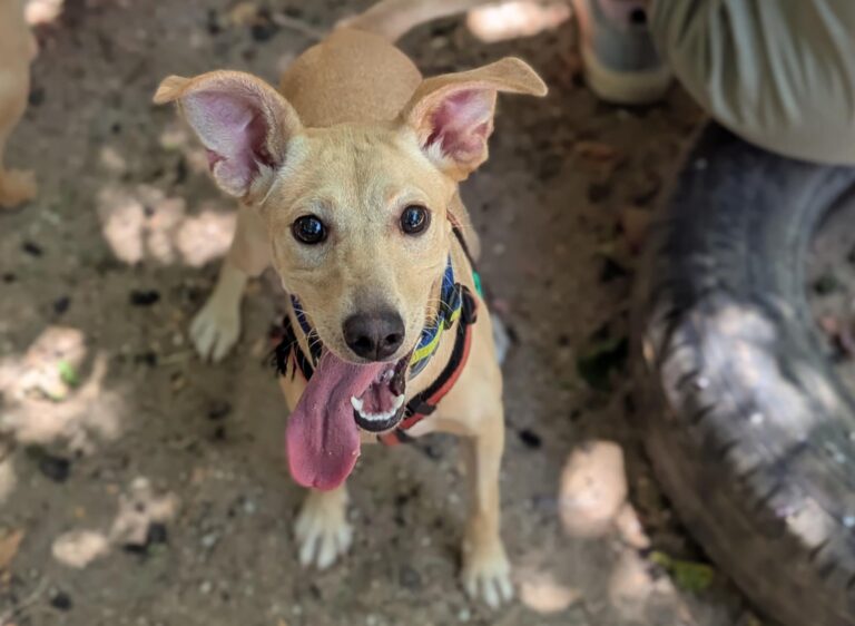 multimedia-foto94698-91-1