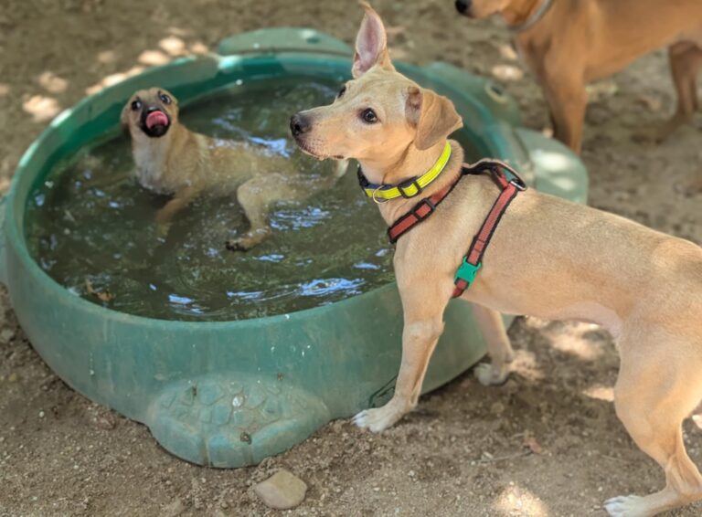 multimedia-foto94699-91-1