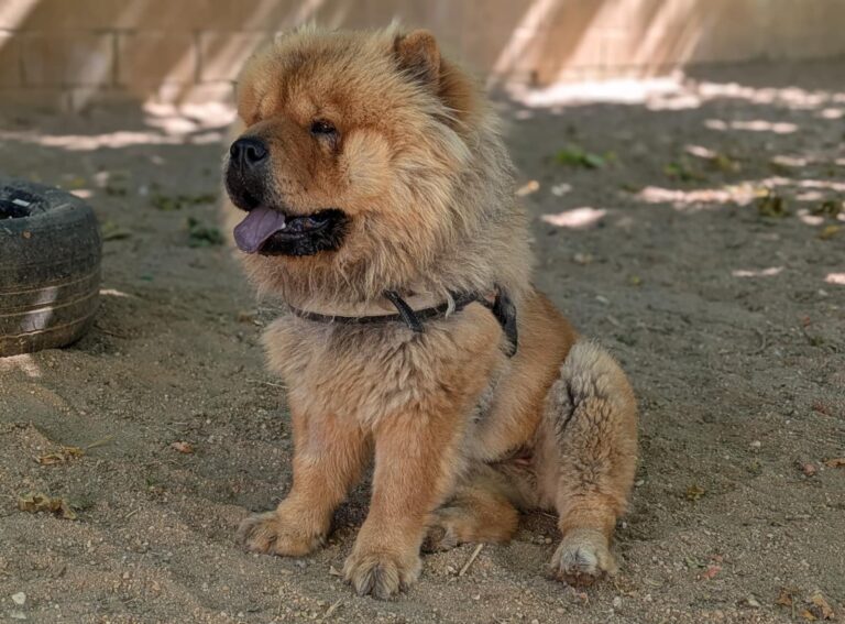 multimedia-foto94702-229-1