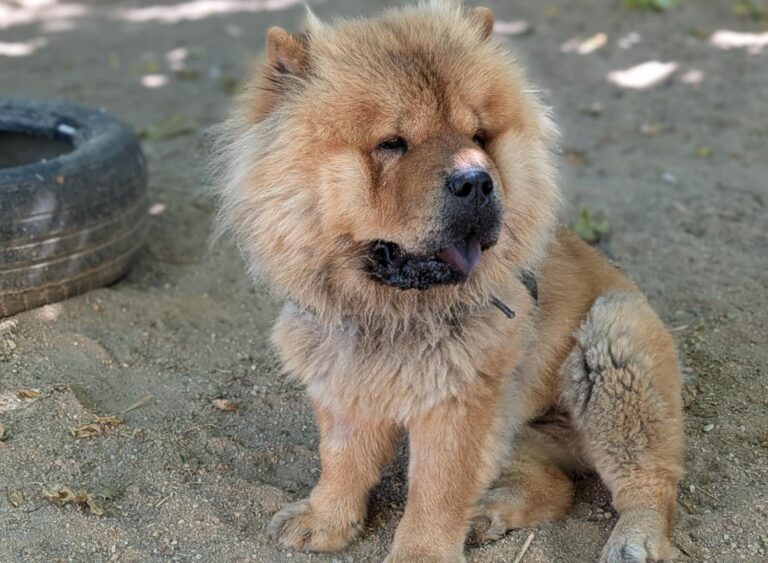 multimedia-foto94703-230-1