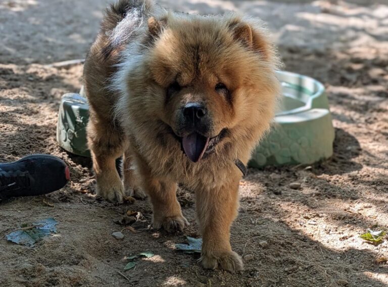 multimedia-foto94704-230-1