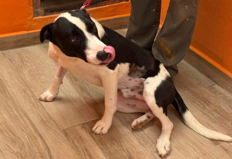 multimedia-foto94731-467-1