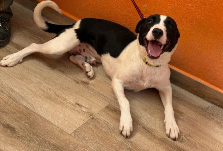 multimedia-foto94734-468-1