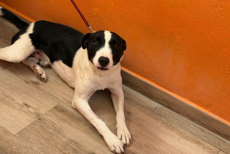 multimedia-foto94735-469-1