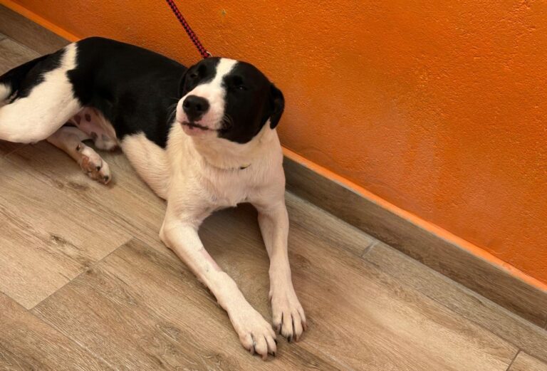 multimedia-foto94736-469-1