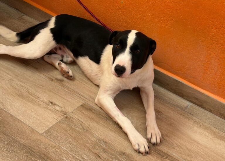 multimedia-foto94737-469-1