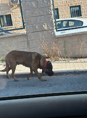 multimedia-foto94739-464-1