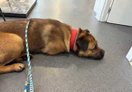 multimedia-foto94740-464-1