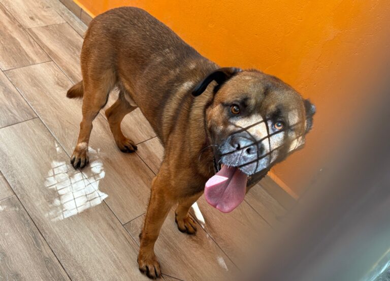 multimedia-foto94741-464-1