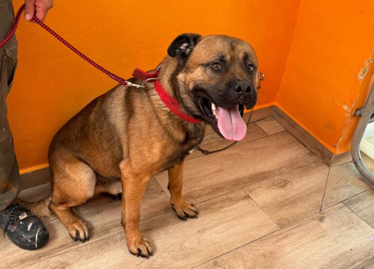 multimedia-foto94742-465-1