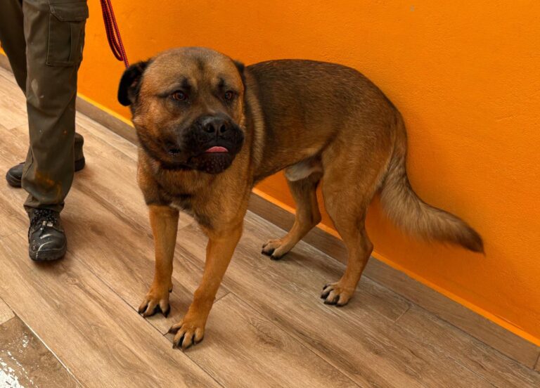 multimedia-foto94743-465-1