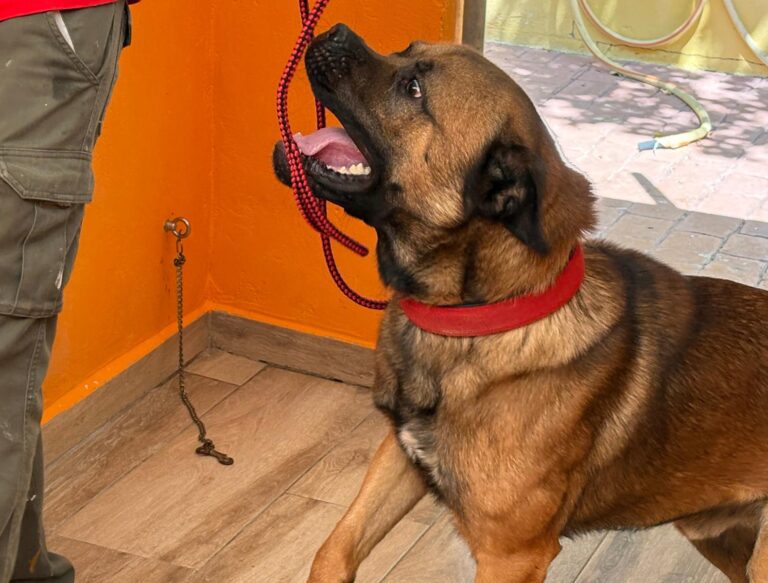 multimedia-foto94744-465-1