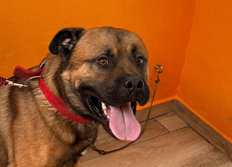 multimedia-foto94747-467-1