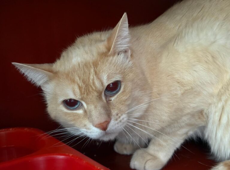 multimedia-foto94766-170-1