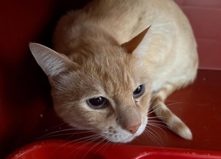 multimedia-foto94767-170-1