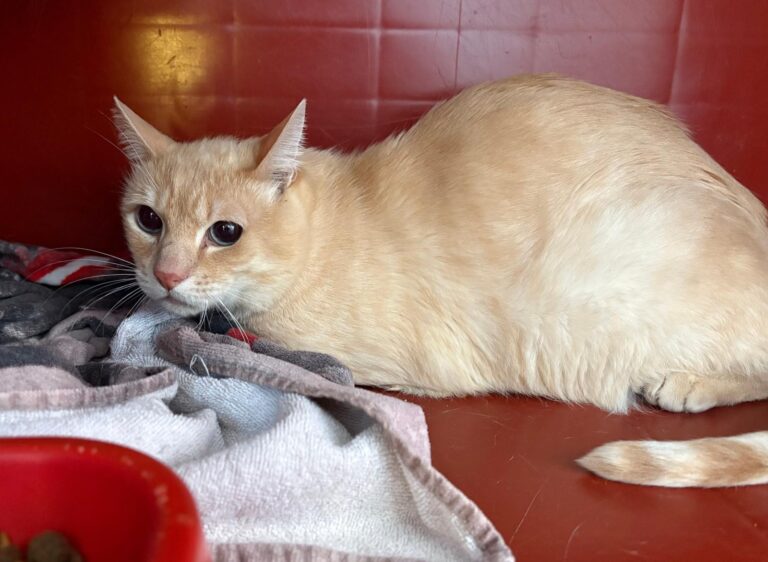 multimedia-foto94768-170-1