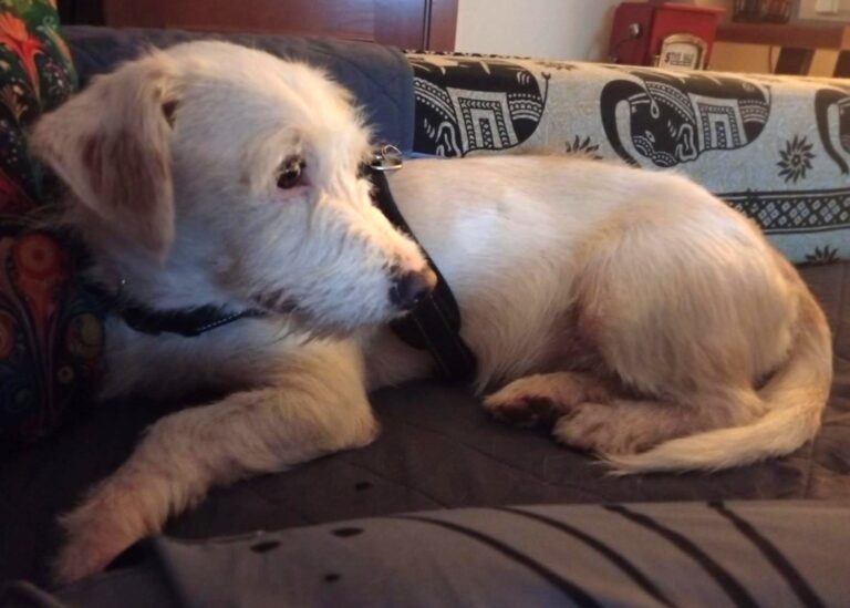 multimedia-foto94786-622-1