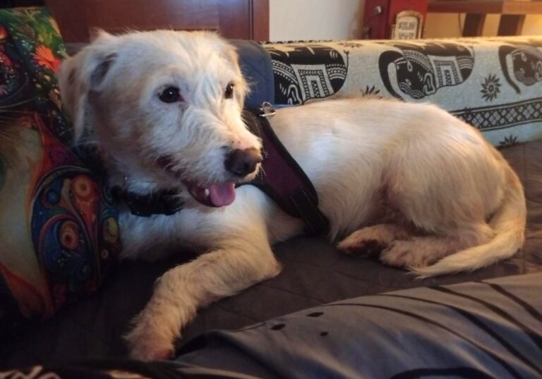 multimedia-foto94787-623-1