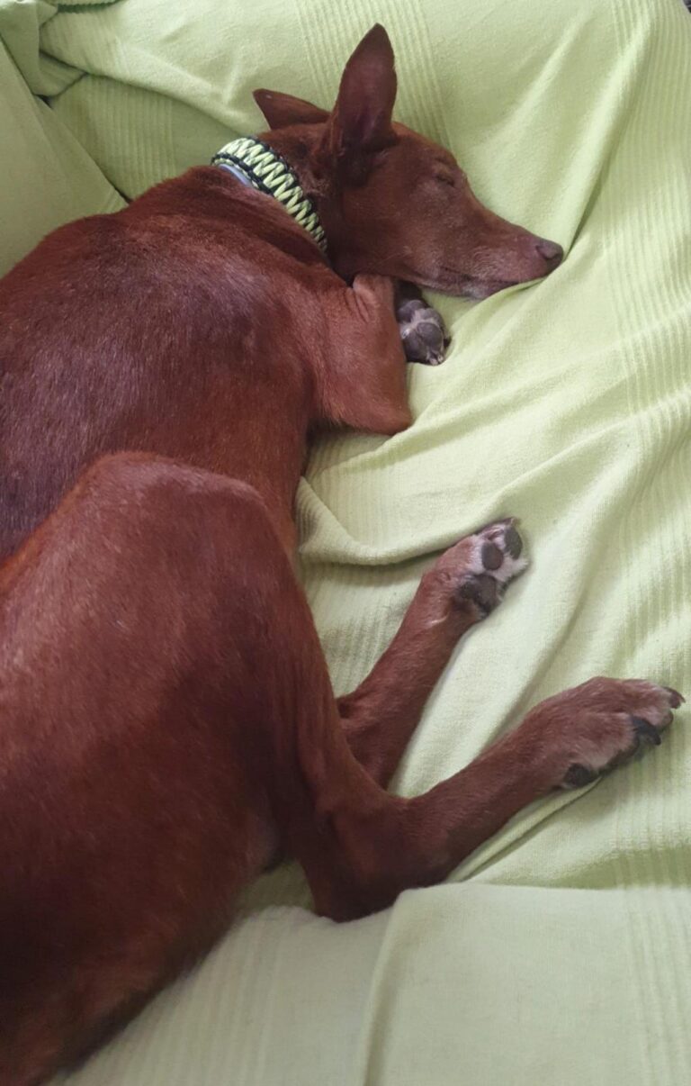 multimedia-foto94793-672-1