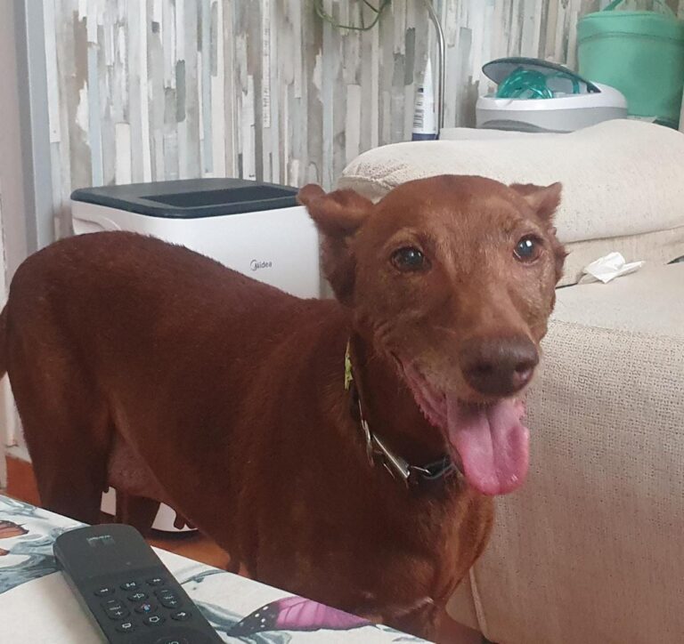 multimedia-foto94794-673-1