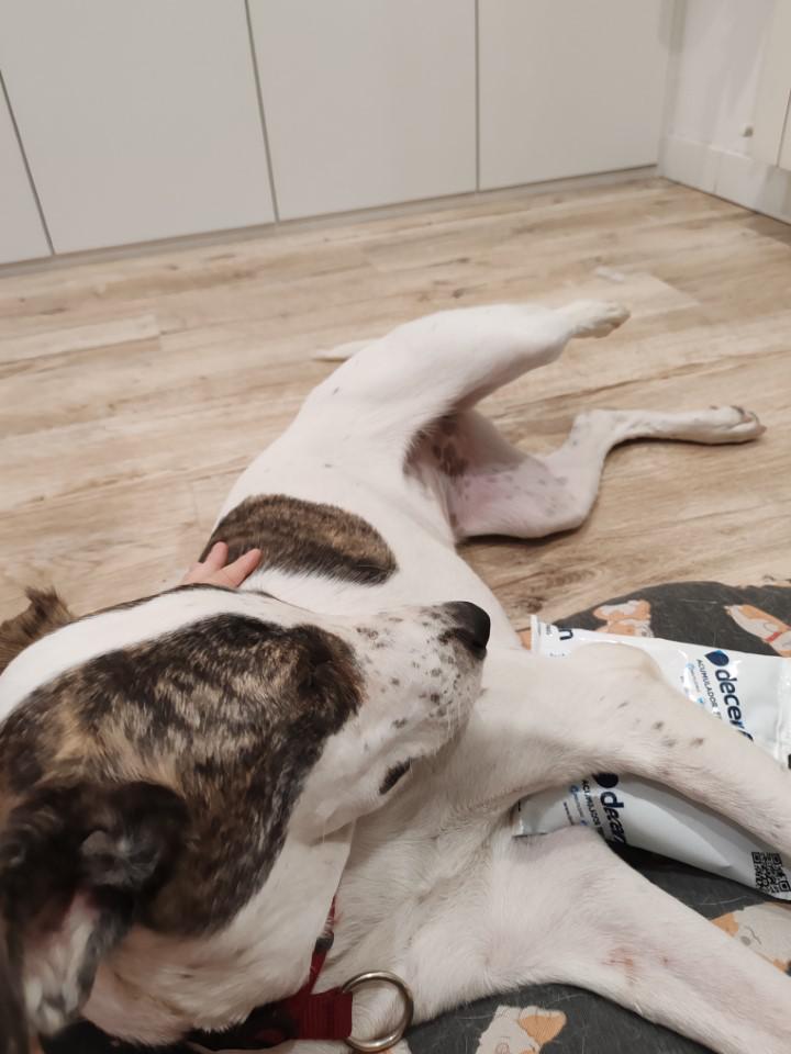 multimedia-foto94797-647-1