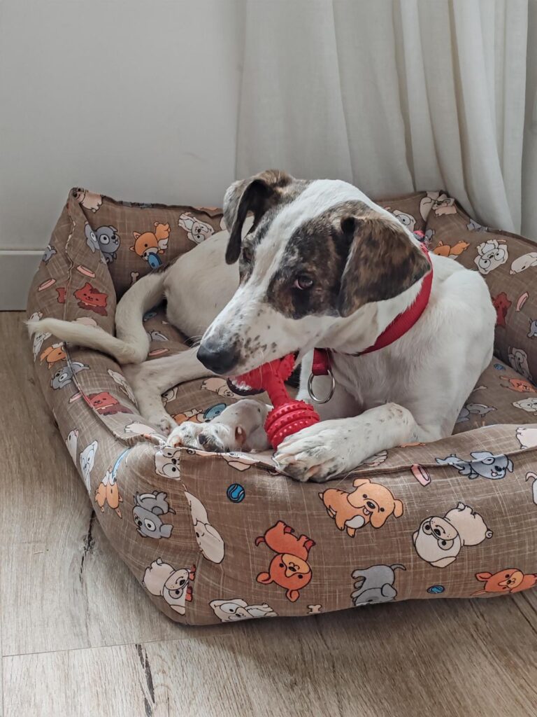 multimedia-foto94798-647-1