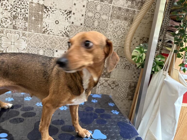 multimedia-foto94799-236-1