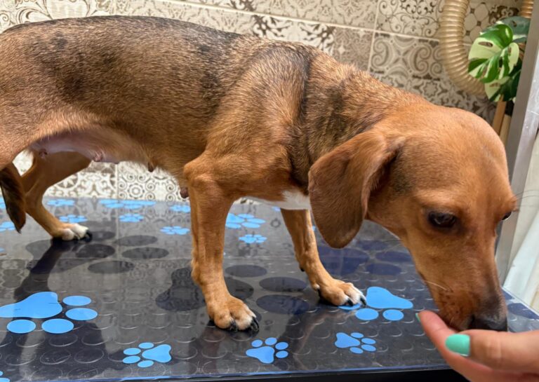 multimedia-foto94800-236-1