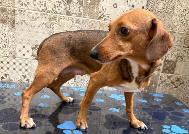 multimedia-foto94801-236-1