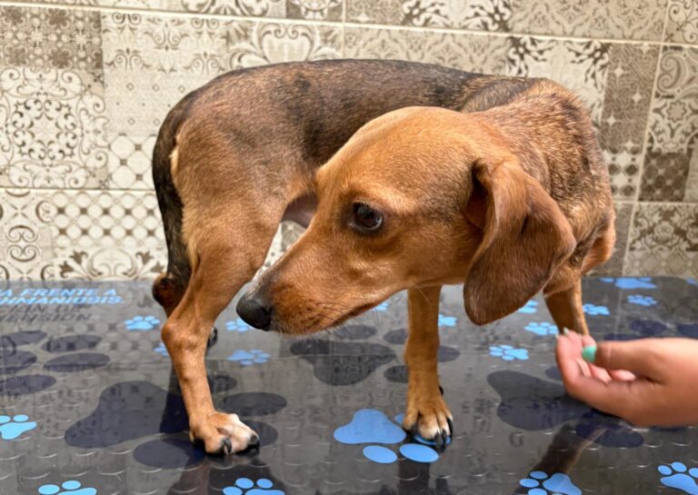 multimedia-foto94802-237-1