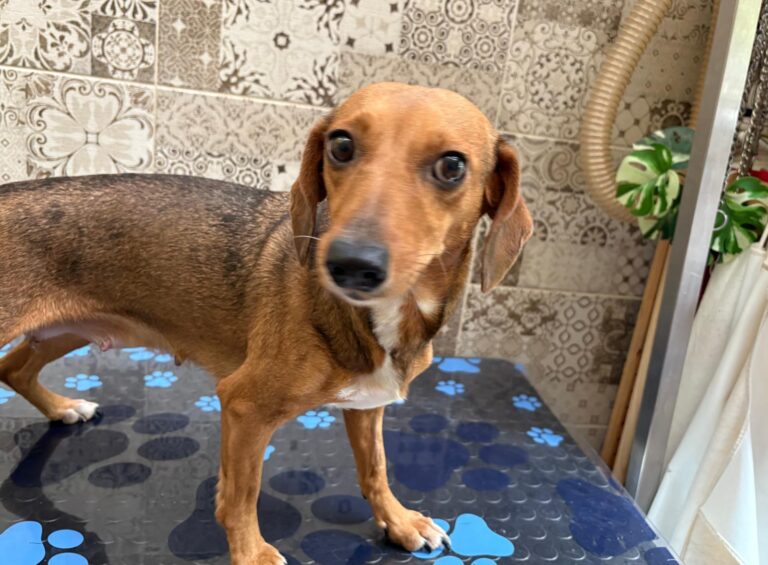 multimedia-foto94804-237-1