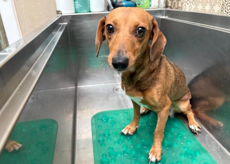 multimedia-foto94805-238-1