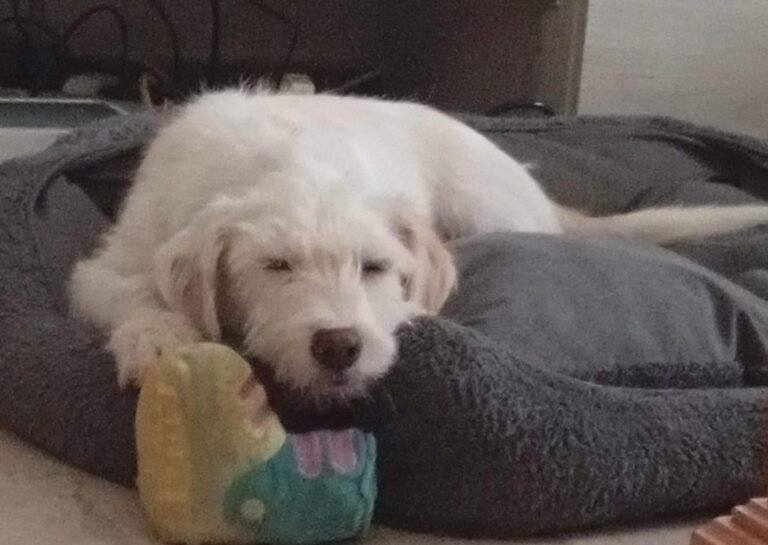 multimedia-foto94816-82-1