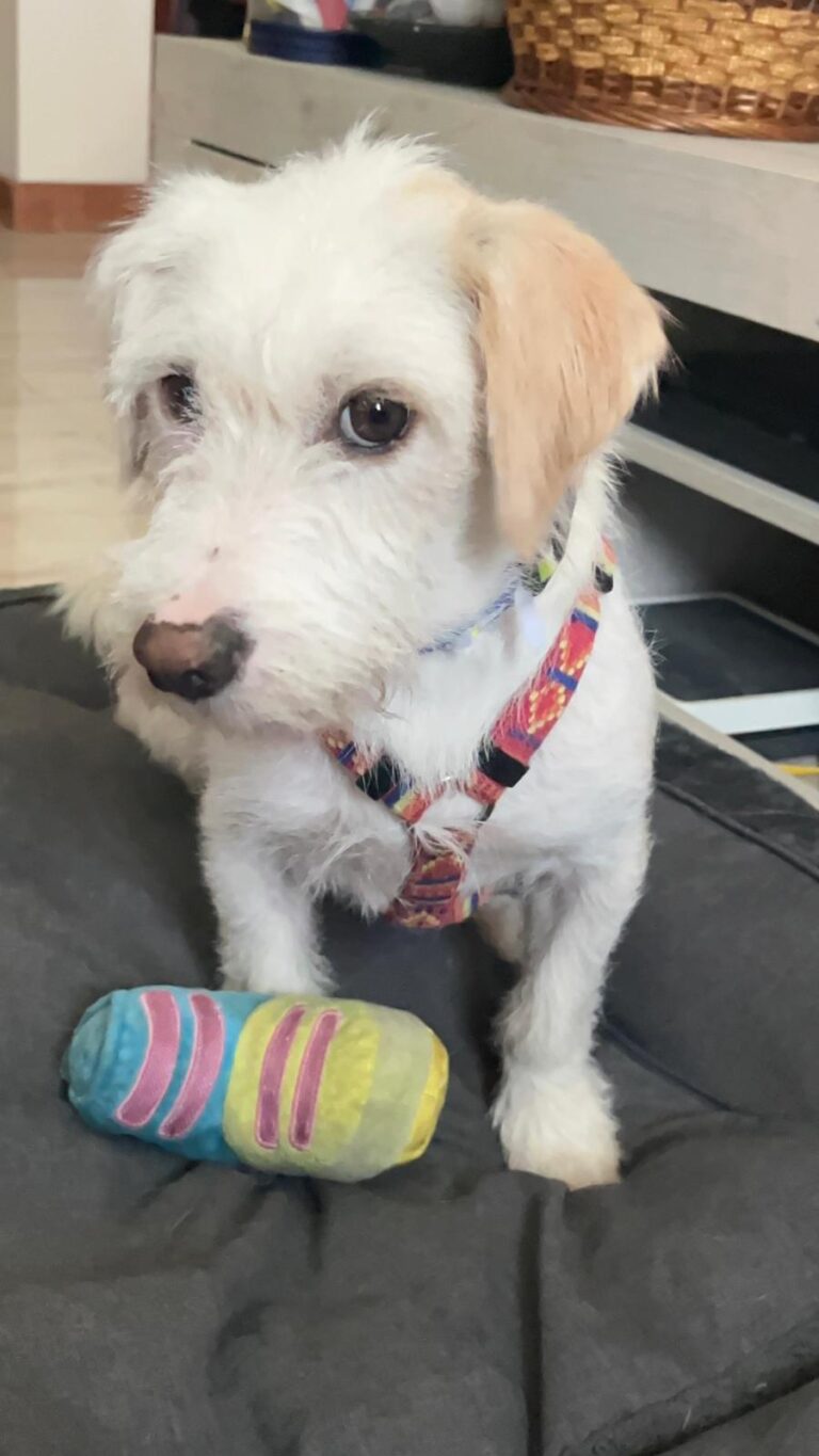 multimedia-foto94817-82-1