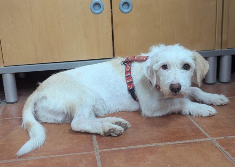 multimedia-foto94818-82-1