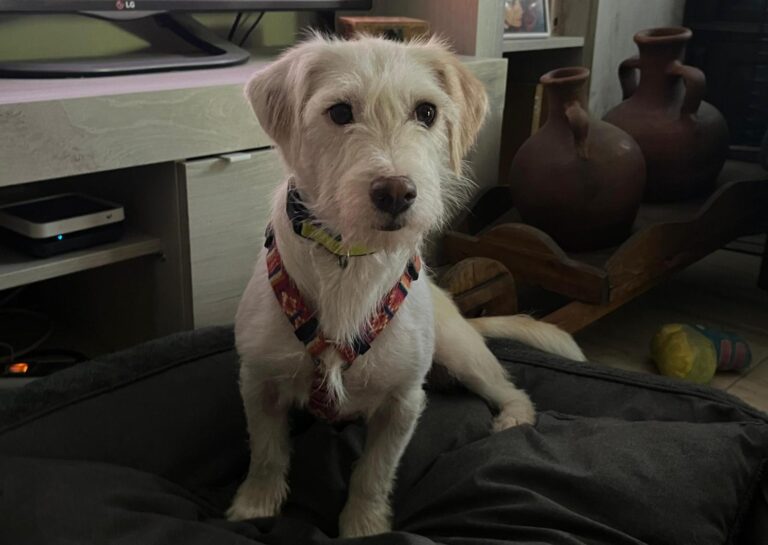 multimedia-foto94820-83-1