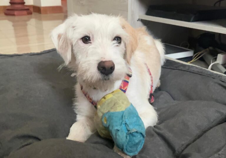 multimedia-foto94821-83-1