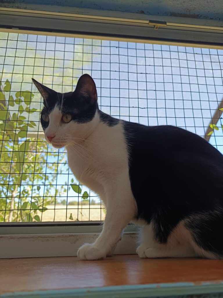 multimedia-foto94830-497-1