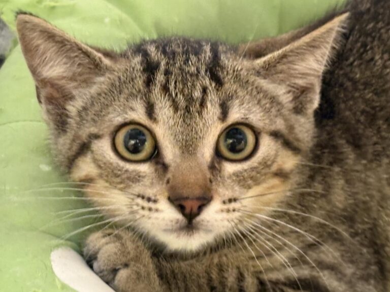 multimedia-foto94838-794-1