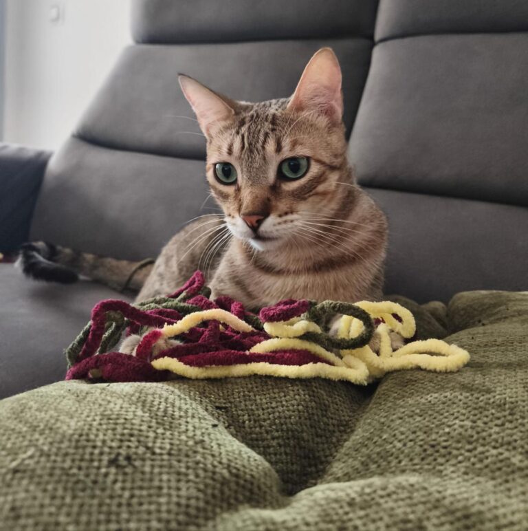 multimedia-foto94858-666-1