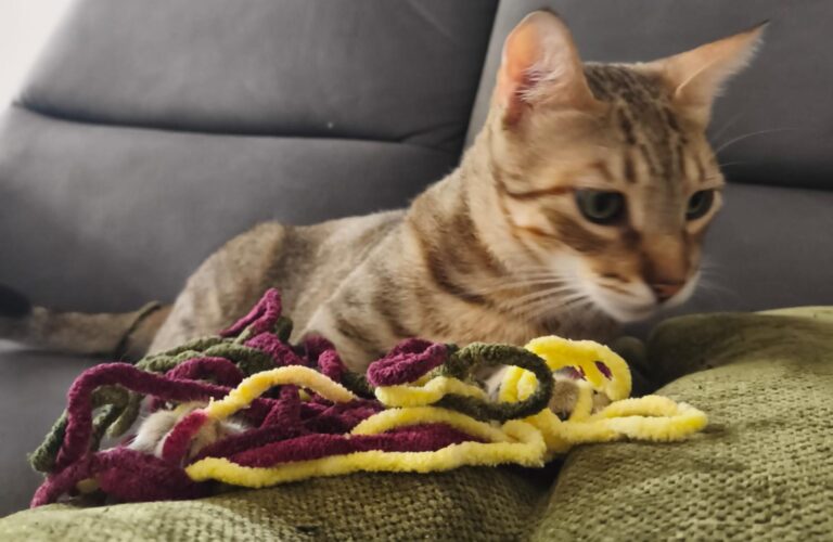 multimedia-foto94859-666-1